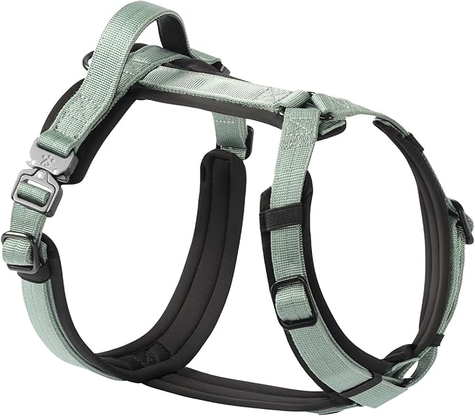 CLEPAWS Dog Harness for X-Large Dogs, No Pull Dog Harness Easy Walk with Metal Hardware, Ergonomic Y-Shaped Design, Soft Padding, Padded Handle, Durable High-Tensile Nylon (Seabreeze, XL)-PawvioPets