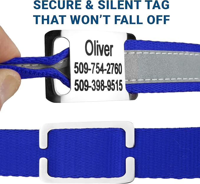 GoTags Reflective Personalized Dog Collar with Nameplate, Adjustable Dog Collar with Custom Engraved Steel Slide On Pet ID Tag, Silent, No Noise Dog Tag for Large Medium or Small (Blue, Large)-PawvioPets