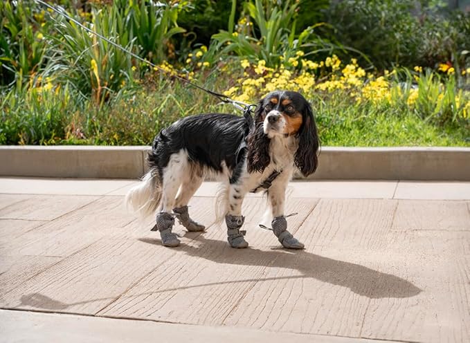 Canada Pooch Dog Boots for Hot Pavement - Dog Boots & Paw Protectors with Anti Slip Rubber | Water Friendly, Breathable Dog Shoes for Hot Days, Great for Dogs Grey - Size 6-PawvioPets