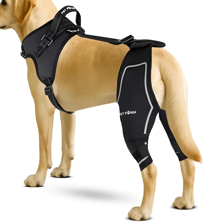 Comfortable Dog Knee Brace for Both Hind Legs with Harness - for ACL Tear, Luxating Patellae, Osteoarthritis & Instability - for Recovery & Injury Prevention in Active/Aging Dogs - (XLarge)-PawvioPets