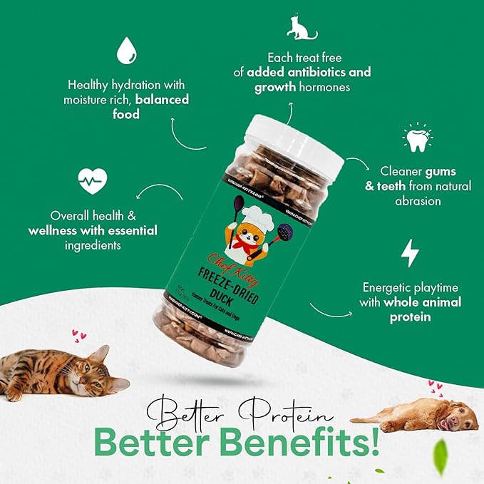 Freeze-Dried Duck Treats for Cats & Dogs – 100% Human Grade, Single Ingredient, High-Protein, Healthy Snack – No Additives or Preservatives – 1.5oz - Inspected & Tested in USA-PawvioPets