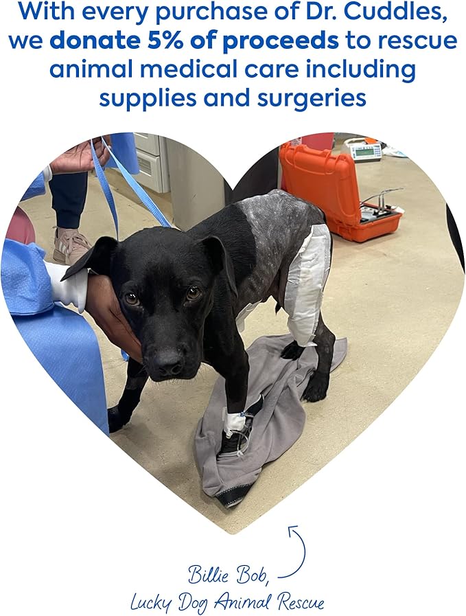 Foaming Dog Dry Shampoo, Travel Size Waterless Dog Shampoo No Rinse, Waterless Cat Shampoo, Natural Botanicals & Deodorant for Dogs & Cats, Vet Formulated, Cleans & Conditions, Summer Pawty Pack of 6-PawvioPets