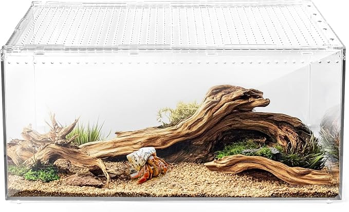 AZV Reptile Terrarium Tank,Versatile Enclosure for Leopard Crested Gecko,Lizard Cage,Spider Starter Kit,Hermit Crab Habitat,Tarantula Cribs,Perfect Aquarium for Snake,Frogs,Snails,Insects,Small Pets-PawvioPets