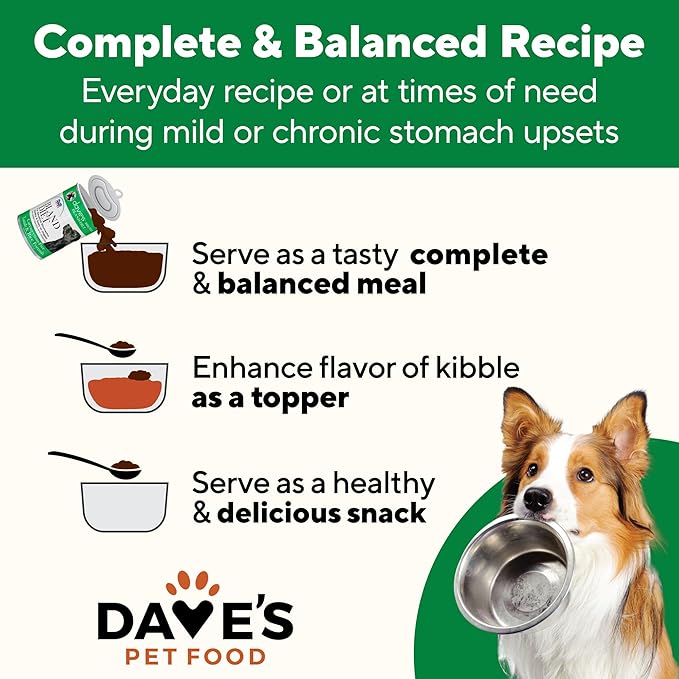 Dave's Pet Food Bland Dog Food (Lamb & Rice), Canned Wet Dog Food for Sensitive Stomachs, Gluten-Free, Digestive Care, 13.2 oz (Case of 12)-PawvioPets