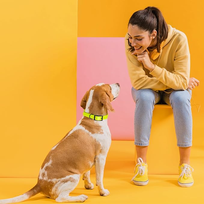 Dogline Biothane Waterproof Dog Collar Strong Coated Nylon Webbing with Black Hardware Odor- Proof for Easy Care Easy to Clean High Performance Fits Small Medium or Large Dogs, Safety Yellow-PawvioPets