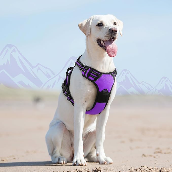 Eagloo Dog Harness for Large Dogs, No Pull Service Vest with Reflective Strips and Control Handle, Adjustable and Comfortable for Easy Walking, No Choke Pet Harness with 2 Metal Rings, Purple, L-PawvioPets