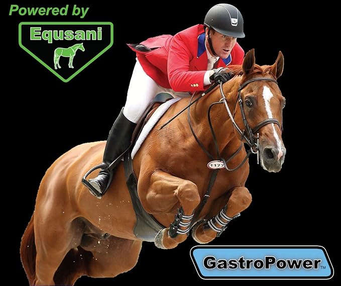 GastroPower Digestible Free Fatty Acid Feed Concentrate for Horses-PawvioPets