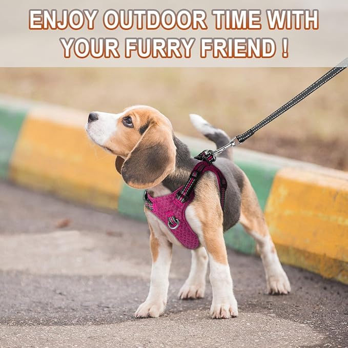 Dog Harness Step in Dog Vest Harness, Reflective Adjustable Puppy No Pull Harness Breathable Soft for Small and Medium Dogs Cats, Pink/Black, S-PawvioPets