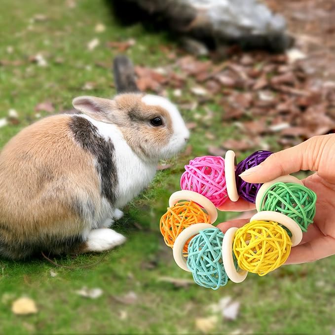 2 Pcs Natural Grass Chew Balls for Rabbits, Chinchillas, Hamsters & Mice - Safe Dental Health Toys for Teeth Grinding, Chewing & Dental Care, Small Animal Enrichment Chew Toys-PawvioPets