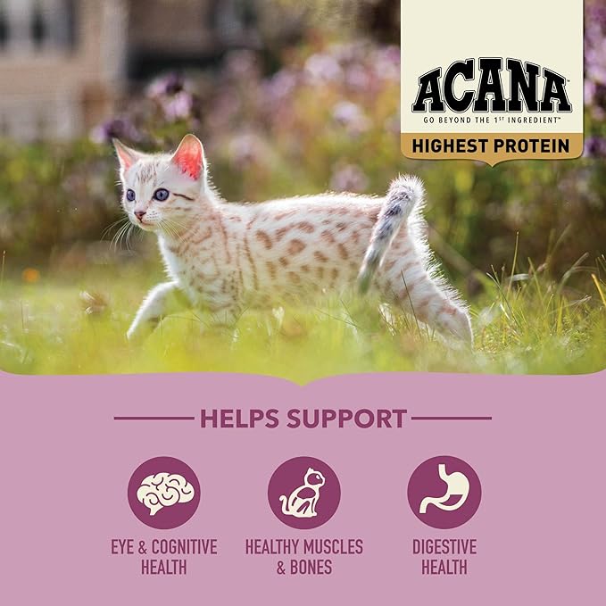ACANA Highest Protein Dry Cat Food Kitten Recipe 4lb Bag-PawvioPets