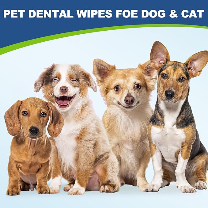 Dog Dental Care Finger Wipes, 60 PCS Teeth Cleaning Wipes for Dogs & Cats, Tooth Brushing Kit Dental Wipes Reduces Plaque & Freshens Breath, Disposable Gentle Cleaning & Gum Care Pet Wipe-PawvioPets
