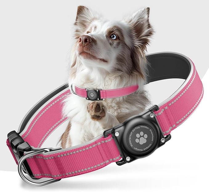 Airtag Dog Collar - 100% Waterproof Air tag Dog Collar Holder for Apple AirTag, Reflective, Soft Padded, Everlasting, GPS Dog Collar for Small Medium Large Dogs (Hot Pink, M)-PawvioPets
