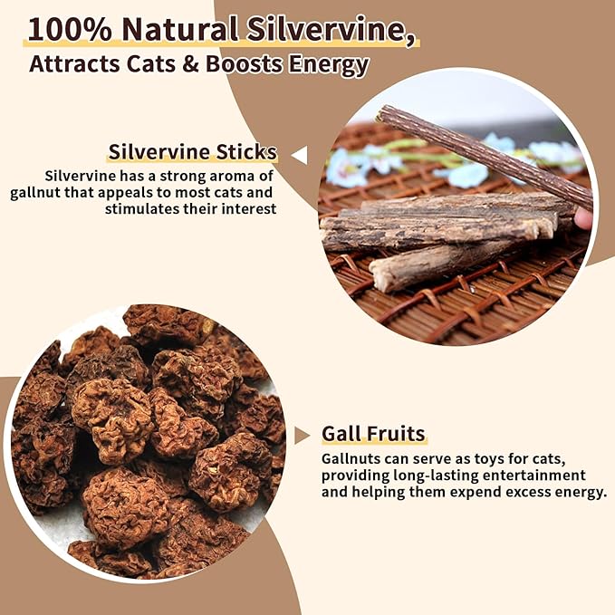 6 Pack Silvervine Cat Chew Toys, Natural Dental Sticks for Indoor Cats, Kittens Teeth Cleaning, Catnip Alternative, Interactive Play, Yellow-PawvioPets