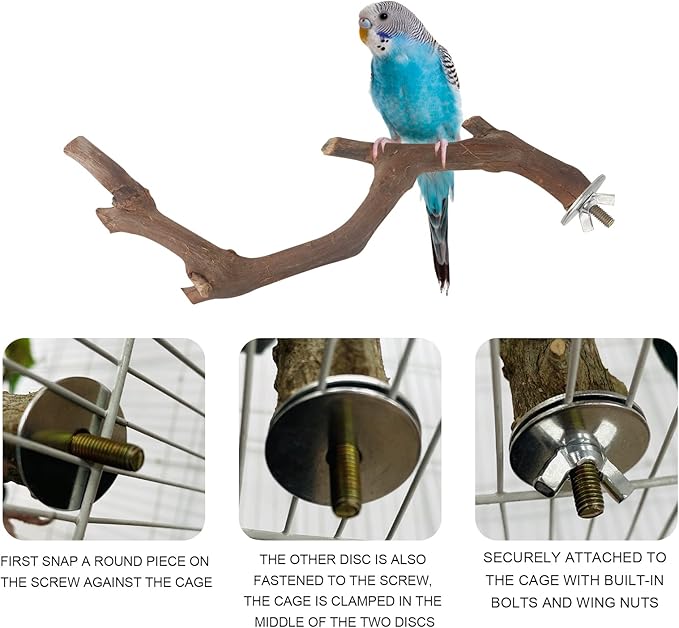 5PCS Bird Perch Stand Natural Wooden Parrot Stand Branch,3 Grape Wood Perch,2 Stand,Paw Grinding Fork Parakeet Chewing Stick Exercise Training Branches for Cockatiels,Small Medium Birds-PawvioPets