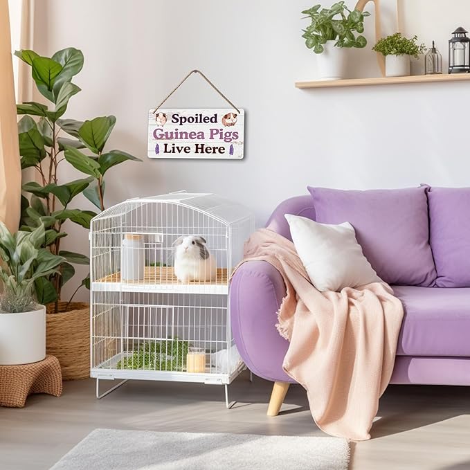 Big Hamster Ball & Guinea Pig Hideout - Stuffed Animals & Accessories for Guinea Pig Cage - 12x6 In Wooden Sign-PawvioPets