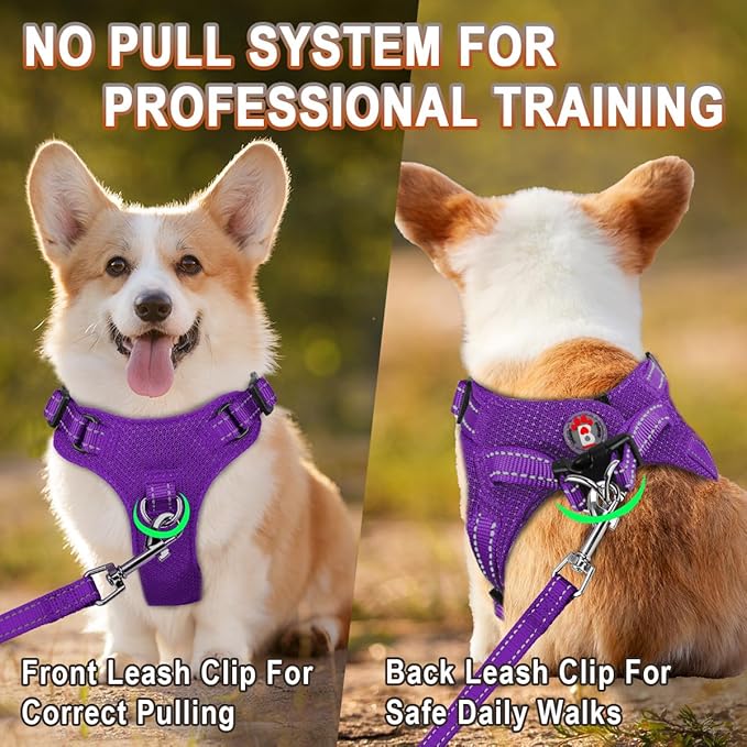 Dog Harness Step in Dog Vest Harness, Reflective Adjustable Puppy No Pull Harness Breathable Soft for Small and Medium Dogs Cats, Purple, XS-PawvioPets