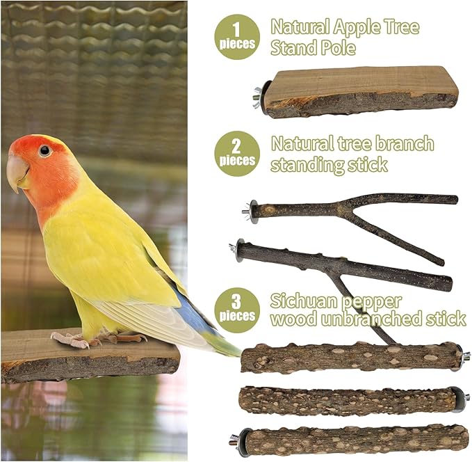 Bird Toys, Natural Parrot Toys for Small Macaws, Budgies, Lovebirds, Finches, Small and Medium Sized Birds Peppercorn Wood Apple Tree Perch Wood Set-PawvioPets
