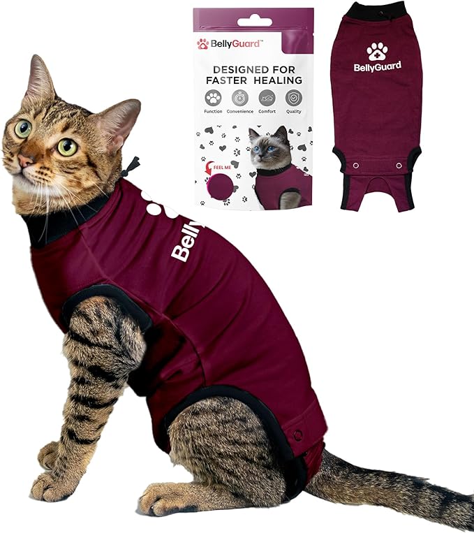 Bellyguard Cat Recovery Suit Female and Male, Comfy Onesie After Surgery, Kitten Clothes for Post-Op Care, Neuter and Spay Healing Outfits for Cats Only – Comfortable Kitten and Adult Cone Alternative-PawvioPets