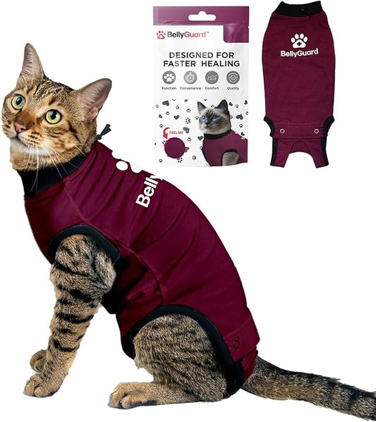 Bellyguard Cat Recovery Suit Female and Male, Comfy Onesie After Surgery, Kitten Clothes for Post-Op Care, Neuter and Spay Healing Outfits for Cats Only – Comfortable Kitten and Adult Cone Alternative-PawvioPets
