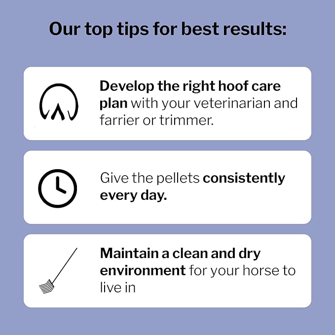 Formula 707 Hoof Health Equine Supplement, Daily Fresh Packs, 56 Day Supply - Biotin, Amino Acids, and Minerals to Improve and Support Healthy Horse Hooves-PawvioPets