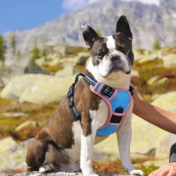 Eagloo Dog Harness for Large Dogs, No Pull Service Vest with Reflective Strips and Control Handle, Adjustable and Comfortable for Walking, No Choke Harness with 2 Metal Rings, Pink & Blue, M-PawvioPets