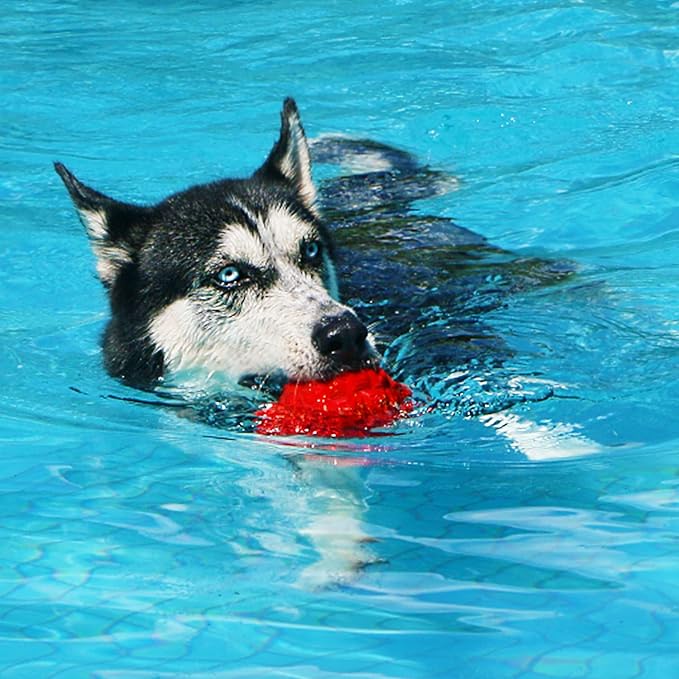 Dog Toys for Aggressive Chewers, Heavy Duty Tough Dog Toy for Large Dogs, Indestructible Squeaky Dog Toys-PawvioPets