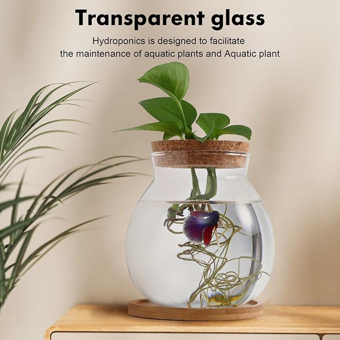 Desktop Fish Bowl Clear Glass Small Betta Fish Tank with Wood Lid and Bamboo Stand Table Hydroponic Plants Terrarium for Home Office Decoration 13 * 14cm-PawvioPets