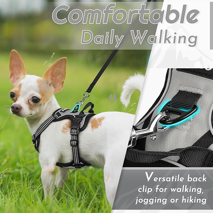 Eagloo Small Dog Harness No Pull, Service Vest with Reflective Strips and Control Handle, Adjustable and Comfortable for Walking, No Choke Pet Harness with 2 Metal Rings, Grey, XS-PawvioPets