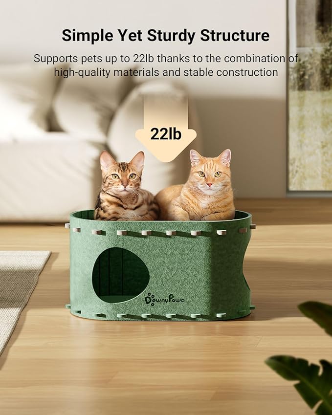 DownyPaws Cat House for Indoor Cats, Cat Bed Cave for Multiple & Large Cats Up to 22 Lbs, Scratch Resistant Peekaboo Cat Caves, Foldable Tunnel Enclosed Bed, PeekaPurr, Forest-PawvioPets