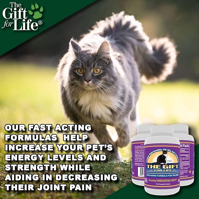 Feline Peptides, Peptides for Cats, Life Extending Cat Supplement, Immune Supplement, Joint Supplement, Skin and Coat Supplement for Cats, 60 Tablets-PawvioPets