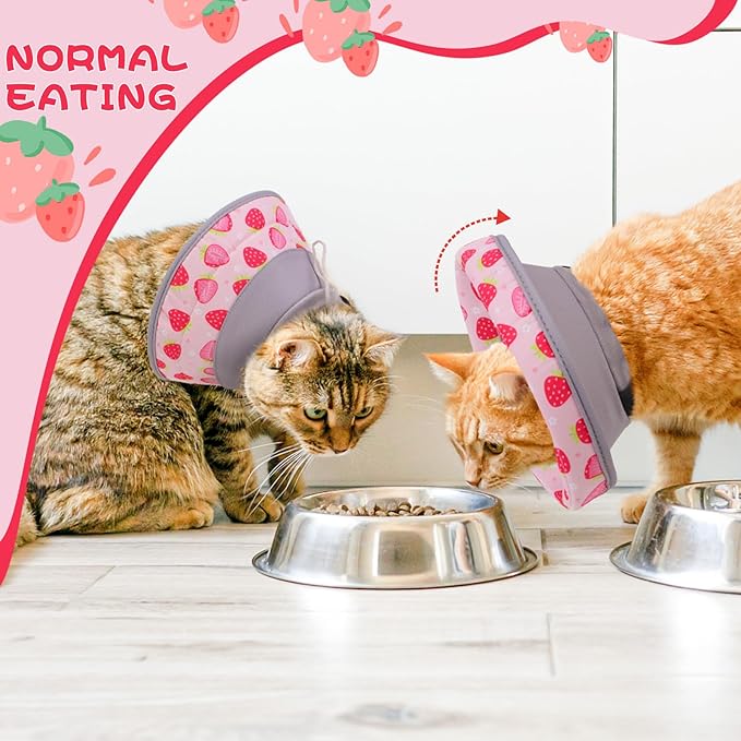 EXPAWLORER Cat Recovery Cone Collar- Soft Adjustable Pet Collar for After Surgery, Waterproof Elizabethan Protective Collar, Stop Licking Donut for Small Medium Kittens (Strawberries M (8.5-12 in))-PawvioPets