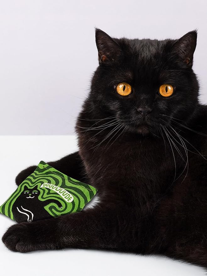 Blue Q Duuuuuuude Catnip Cat Toy. Premium Organic Catnip Grown in The USA, 100% Cotton Pouches, Kitty Graphics Sure to Delight Every Cat-Keeper.-PawvioPets