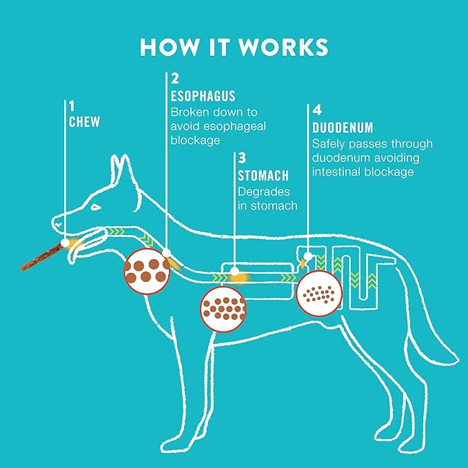 Collagen Rolls - 9" Collagen Rolls for Dogs - Long Lasting Healthy Joint Support - Rawhide Alternative - Skin & Coat Health - Made with Real Beef, Value Pack, 3 Bags, 9 Count-PawvioPets