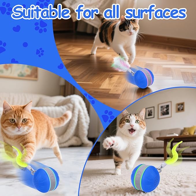 AIERSA Interactive Cat Toys for Indoor Adult Cats, Automatic Self-Play Cat Ball Toy for Kitten to Keep Them Busy, Electric Moving Chase Toy (Blue)-PawvioPets