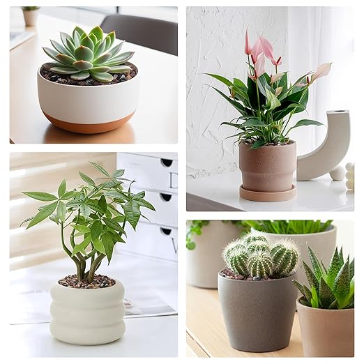 2.5lbs Small Rocks for Terrarium, Planters Drainage, 1/5 Inch Lava Rock for Bonsai Tree, Decorative Gravel for Succulents, Bamboo, Cactus, Mixed Color-PawvioPets