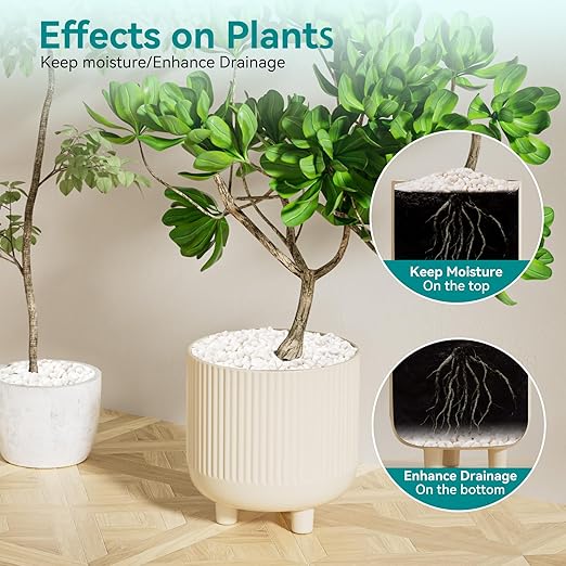 5 lbs Small White Rocks for Planters, 3/8" White Pebbles for Vases, Decorative Small Stones for Plants, Succulents, Bamboo, Terrarium, Landscape, Garden-PawvioPets