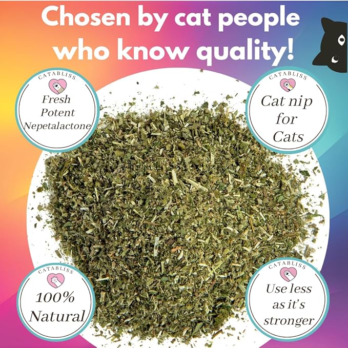 1oz Cat Nip for Cats, Turbo Charging Blend for Refillable Catnip Toys, 100% Essential Natural Cat Weed Treat, Non-Addictive, Enhancing Play for Indoor Cats-PawvioPets