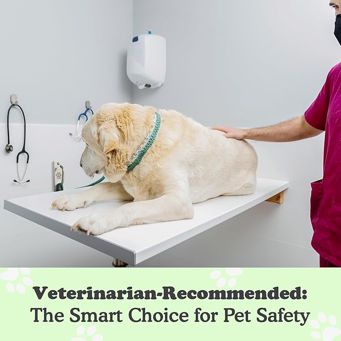 Canine Hitch- Secure Dog Leash Parking Mounted Indoor – Outdoor Wall Hook - Tie Out Stainless Steel Practical Lead Management for Home & Business, Slim Compact 6 Pack-PawvioPets