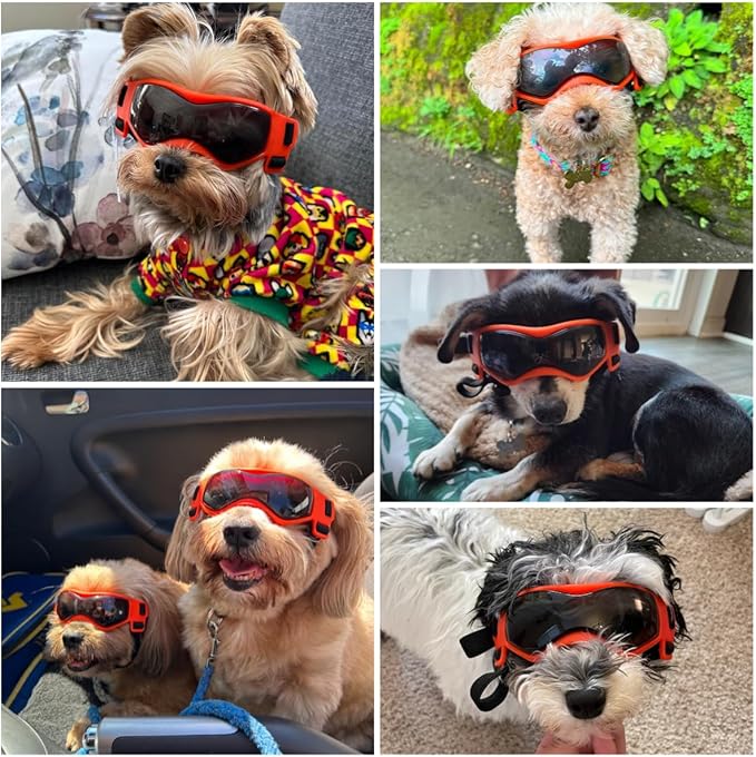 Dog Goggles Dog Sunglasses for Small Breed UV Protection Windproof with Adjustable Head Straps Chin Straps for Ride Car/Hiking Travel/On Beach-Orange-PawvioPets