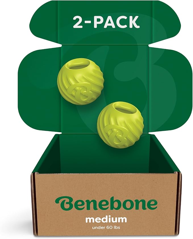 Benebone 2-Pack Rubber Ball-PawvioPets