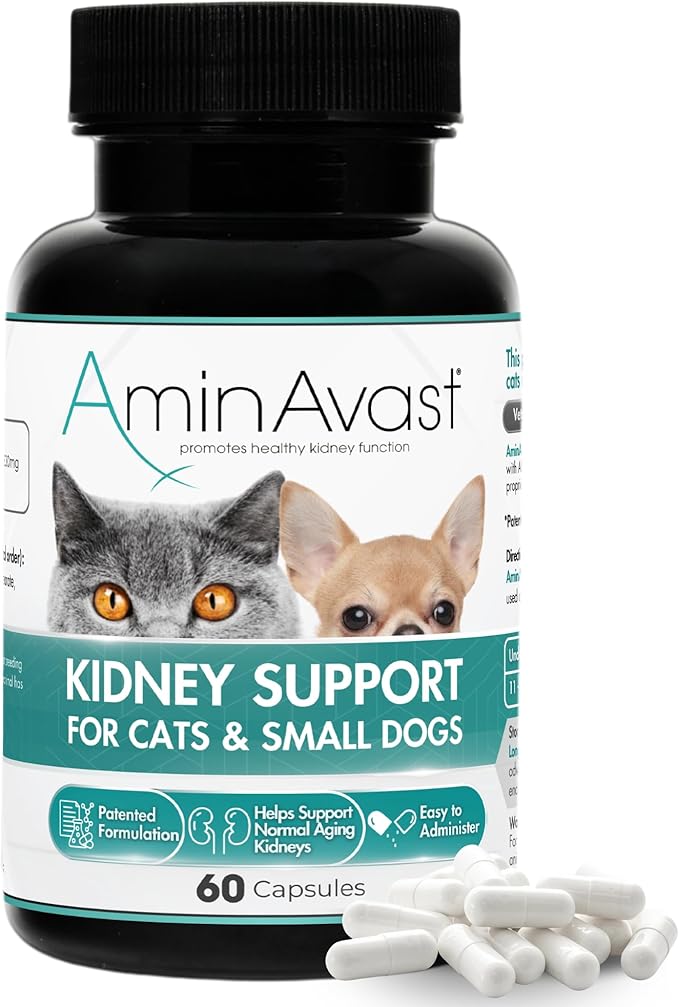 AminAvast Small Dogs & Cat Kidney Support - Promotes Healthy Kidney Support in Cats & Small Dogs - 300mg, 60 Capsule-PawvioPets