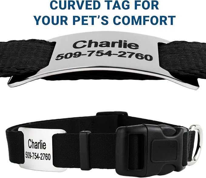 GoTags Reflective Personalized Dog Collar with Nameplate, Adjustable Dog Collar with Custom Engraved Steel Slide On Pet ID Tag, Silent, No Noise Dog Tag for Large Medium or Small (Charcoal, Small)-PawvioPets