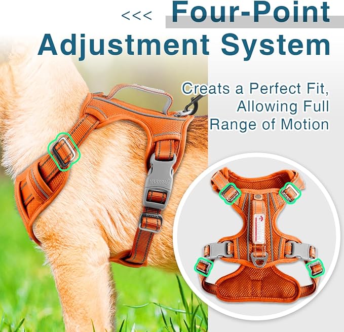 BARKBAY Dog Harness No Pull with ID Tag Pocket - Heavy Duty, Reflective, Easy Control for Large Dogs(Orange,M)-PawvioPets