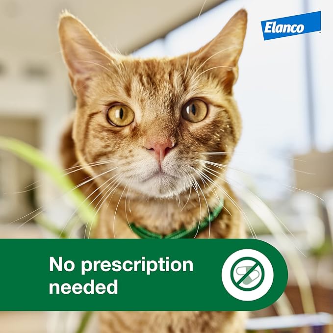 Advantage XD Small Cat Flea Prevention & Treatment For Cats 1.8-9lbs. | 2-Topical Doses, 2-Months of Protection Per Dose-PawvioPets