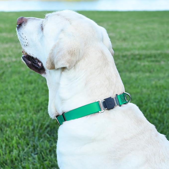 Dogline Biothane Waterproof Dog Collar with Herm Sprenger Stainless Steel Quick Release Buckle – Heavy Duty Tactical Durable Collar for Dogs – Comfortable and Safe Pet Collar, W 3/4" L 12-19", Teal-PawvioPets
