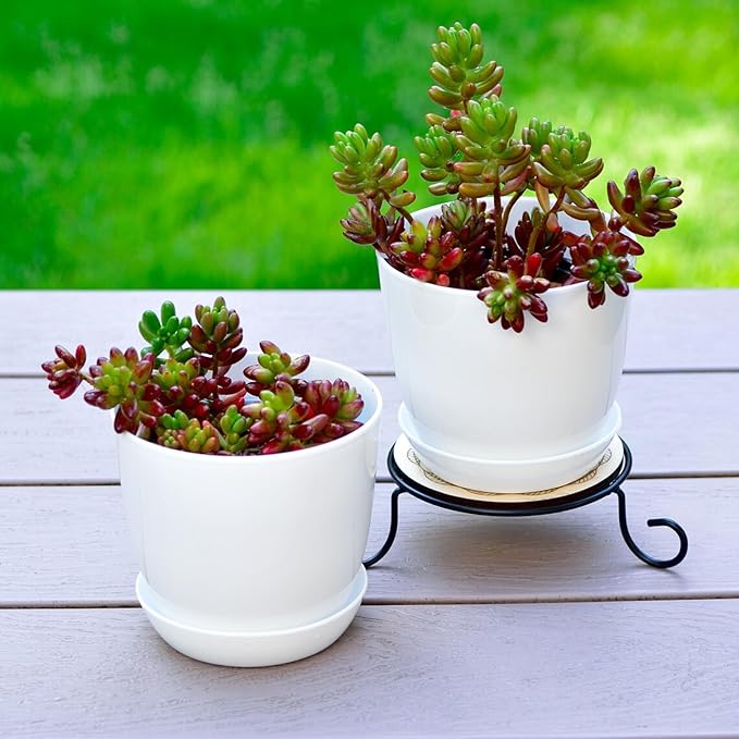 50 Pack 4 Inch Plant Pots Bulk Small Plastic Planters Pots with Drainage Holes Flower Pot for Succulent, Cactus, Herb, African Violet (50pcs-White, 4Inches)-PawvioPets