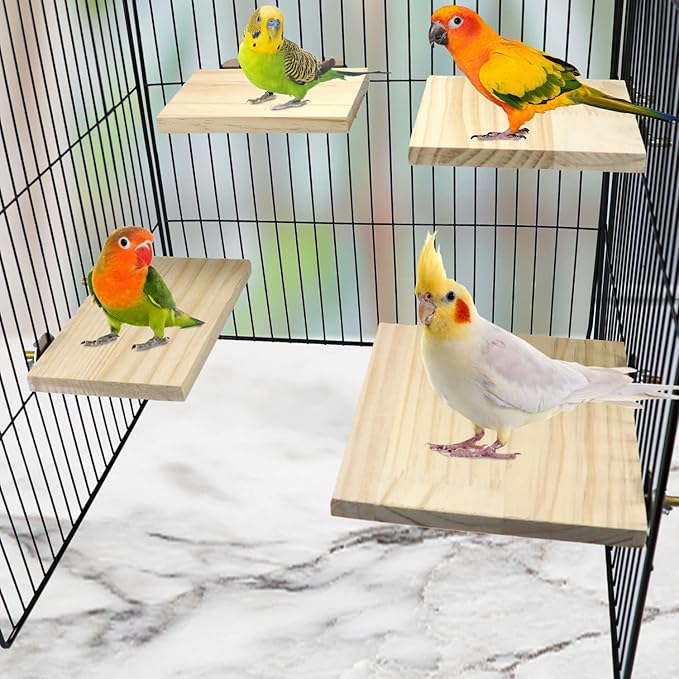 2pcs Bird Perch Platform Flat Stand Beak Paw Grinding Wood for Parrot Parakeet Cockatiel Lovebird Conure Finch Budgie-PawvioPets