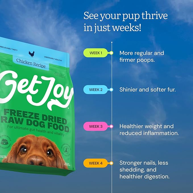 Get Joy Gut Health Fresh Freeze Dried Raw Meal, Chicken Recipe, 32 Ounce Bag, Dog Food for Dogs of All Breeds and Life Stages, PhD Animal Nutritionist Formulated, Made in USA-PawvioPets