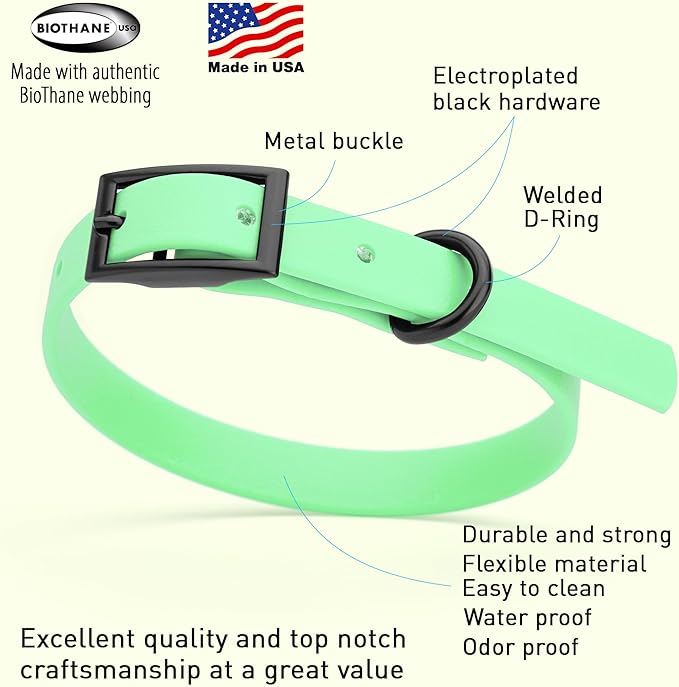 Dogline Biothane Waterproof Dog Collar Strong Coated Nylon Webbing with Black Hardware Odor- Proof for Easy Care Easy to Clean High Performance Fits Small Medium or Large Dogs, Sea Foam Green-PawvioPets