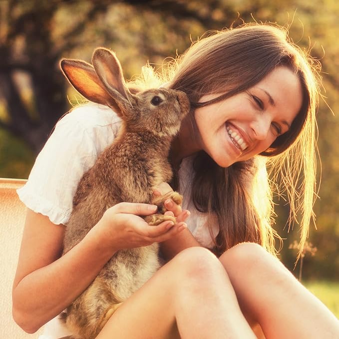 Digestive Support, Papaya by Sherwood Pet Health (100 Tablets - 60 Grams). Contains Natural Motility Herbs That Regulate The Digestive Tract, Improve The Gut microbiome and Stimulate The Appetite.-PawvioPets